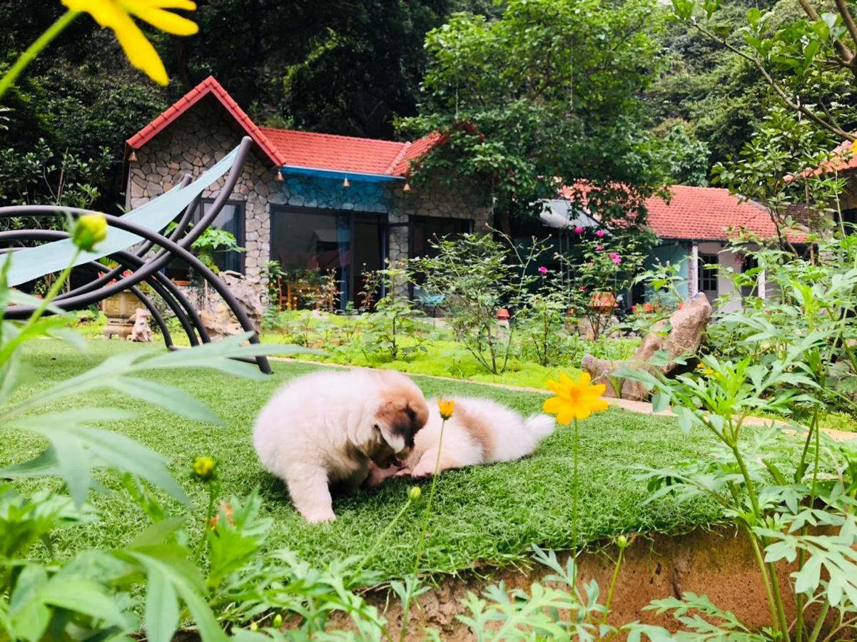 Trang An Green River Homestay Ninh Bình Ngoại thất bức ảnh