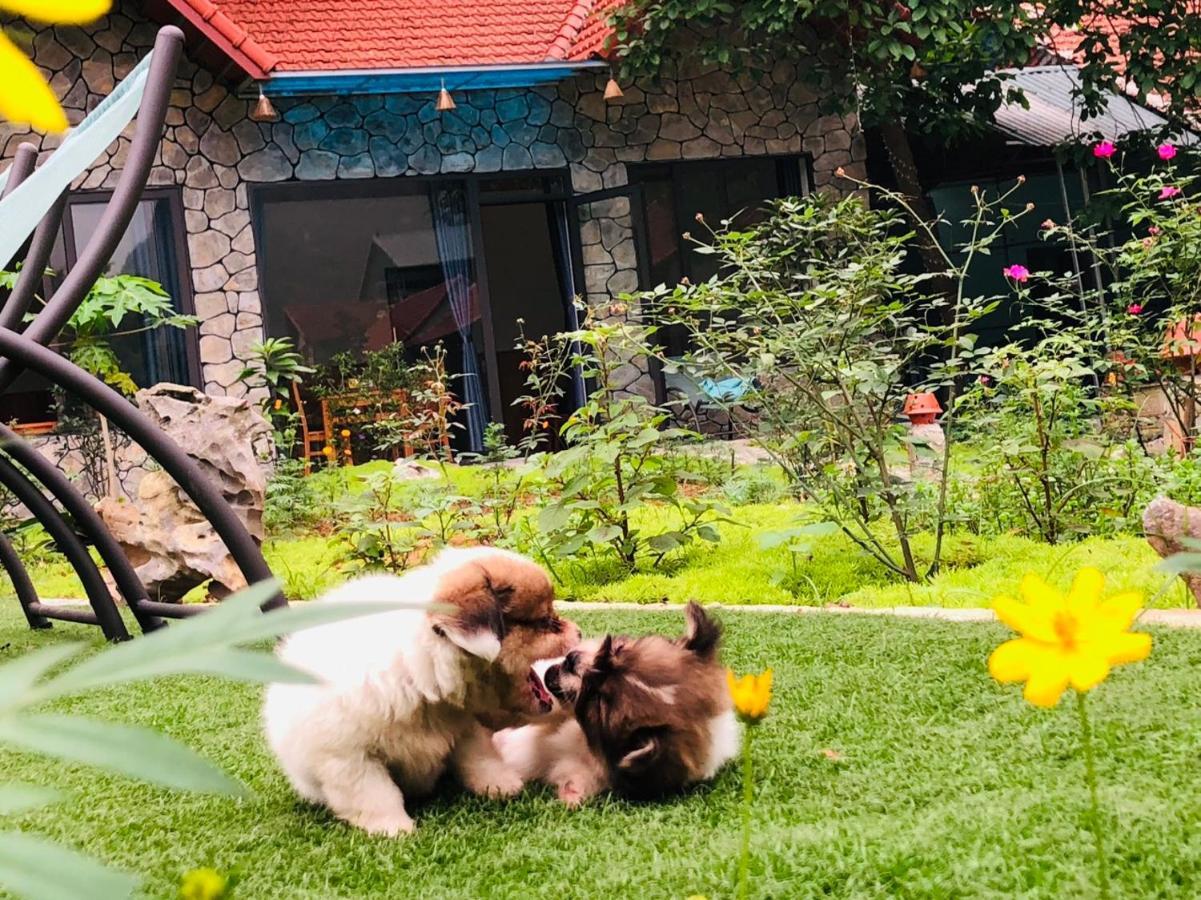 Trang An Green River Homestay Ninh Bình Ngoại thất bức ảnh
